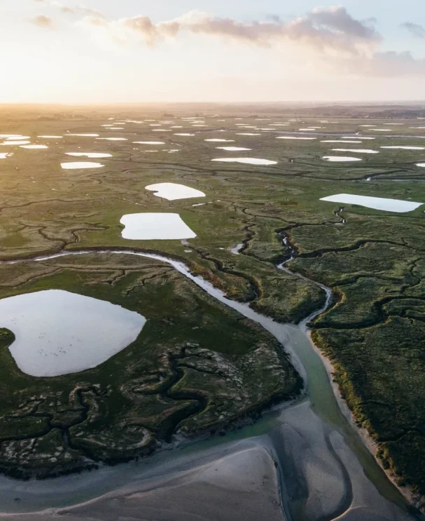 Visiter-Somme-baie-que-faire-parc-naturel-regional-bassin-chasse-drone-panorama